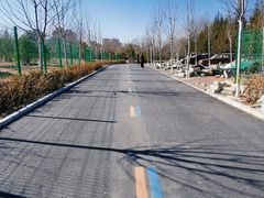 -太阳宫公园