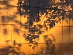 -IFIF 如果花園(宽厚里店)