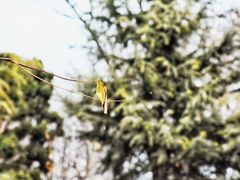 -观象山公园