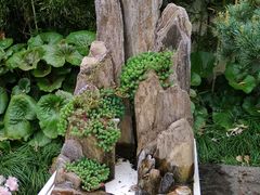 -上海醉白池公园