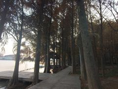 -高子水居