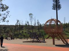 -枫香湖儿童公园