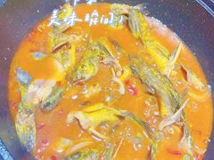 黄辣丁鲜鱼锅-小小河边鱼(天润城店)