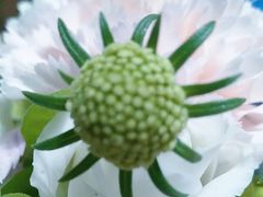 -新荟城(望京店)