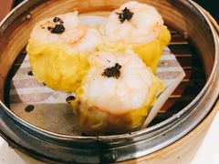 -糖朝(尖沙咀店)