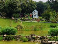 -铁山坪森林公园