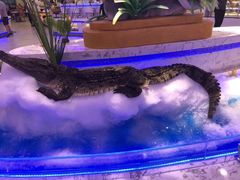 -澜悦港海鲜体验主题餐厅
