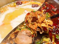 -蓉客成都火锅·招牌麻辣牛杂·特色香辣蹄花(凌水店)
