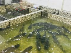 -陈大锅·岳阳鱼馆·地道岳阳菜(美食街店)