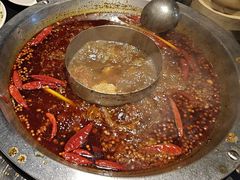 -李掌柜鲜菜火锅(移民广场店)