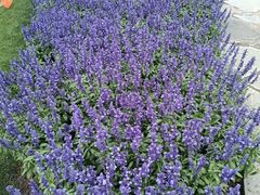 -莹珠阁·私房菜