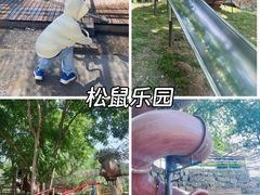 -欢乐松鼠谷