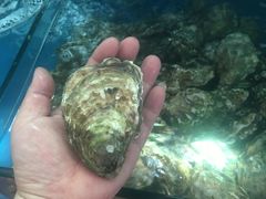 -雅逸居海鲜小厨