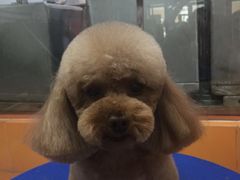 -惠康宠物医院(华能路店)