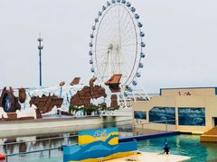 -秦皇岛乐岛海洋王国