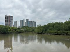 -大亚湾红树林城市湿地公园