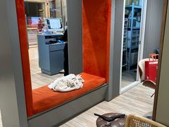 -海马体照相馆(上海月星环球港店)