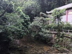 -鼎湖山风景区