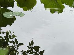 -浙江省博物馆(孤山馆区)