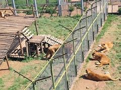 -青藏高原野生动物园