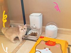 -麦当劳(新王府井店)