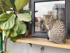 -转山咖啡(松柏社区店)