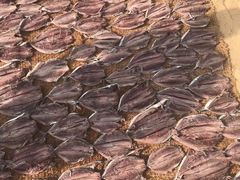 -尼甘布海鲜市场