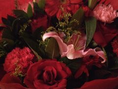 -北京大学百年讲堂