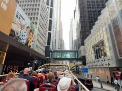 -Big Bus Tours 敞篷观光巴士