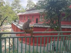 -黔灵山公园