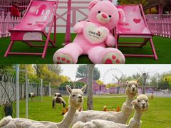 -渔岛海洋度假区