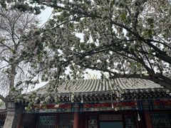 -荣国府