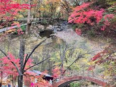-关门山森林公园