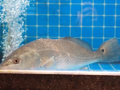 -醉壹号海鲜大排档·老厦门特色菜(厦门美食地标店)