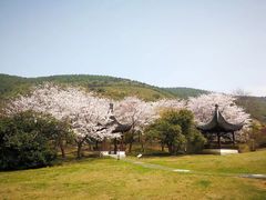 -缥缈峰景区
