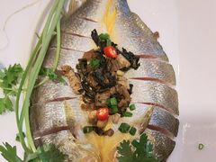 -苏大嘴蒸汽海鲜·海胆蒸饺(中山广场店)