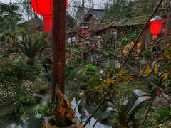 -青城甲(青城山店)