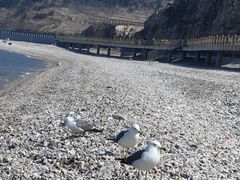 -长岛南北长山旅游景区