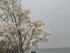 -品鲜村农家菜·阳澄湖大闸蟹(总店)