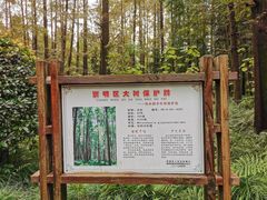 -上海怡沁园度假酒店