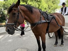 -J Create城市露营咖啡·简餐·宠物(上海动物园店)