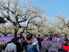 -江苏三台山国家森林公园