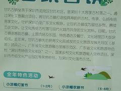 -鹅滋道(甘坑古镇店)