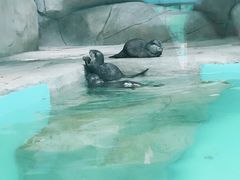-无锡动物园·太湖欢乐园