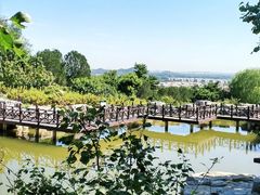 -北京西山国家森林公园