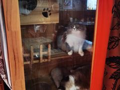 -郑三炮名小吃(公馆老街店)