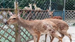 -萌宠亲子动物乐园(槐房万达店)