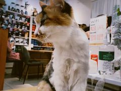 -玫瑰咖啡(中山六路店)