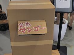-Sony Store 索尼(上海淮海中路店)