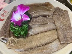 毛肚-重庆渝达老火锅(春熙路店)